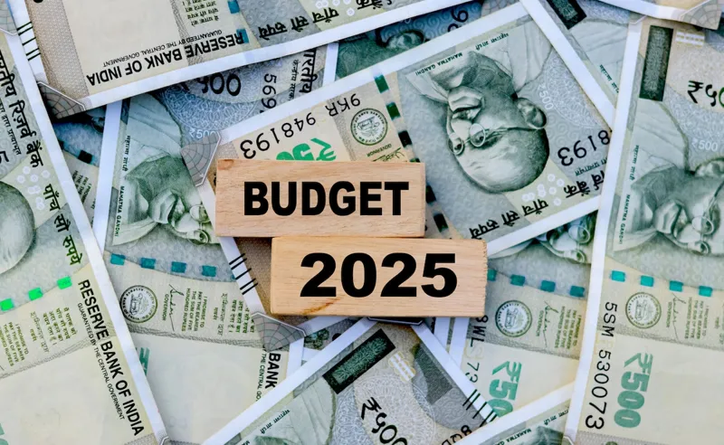 Budget 2025: Will Salaried Class Get Tax Relief?