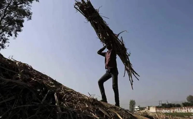 Kisan ko Mila 10 Lakh! Power Company Ko Sabak!