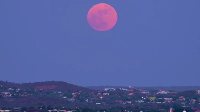 Pink Moon: Asmaan Mein Ek Naya Rang!