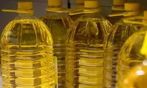 Indonesia se India ko Palm Oil Exports Badhenge: Kya Hai Naya Update?