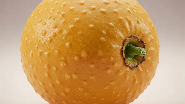 Monk Fruit: Meetha Bina Guilt Ke!
