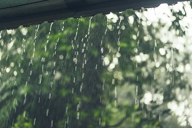 Kerala Mein Baarish Ka Keher! Orange Alert, Dams Khule 🔥