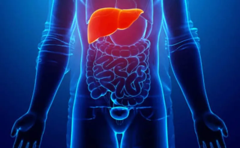 Liver Health: Sharab ke Alawa Bhi Hain Dusman!