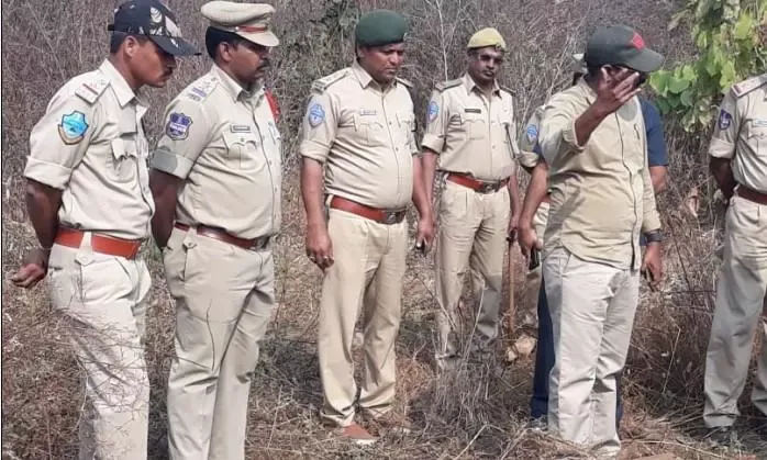 Adilabad: Jungle Bachao, Smuggling Badhao? Latest Update