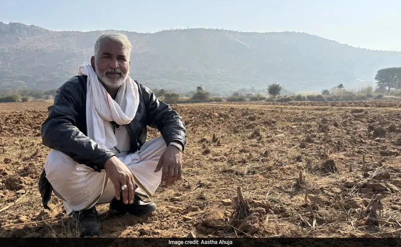 Zameen ka Bura Haal: Paani Peene Wale Faslon Se Nuksan