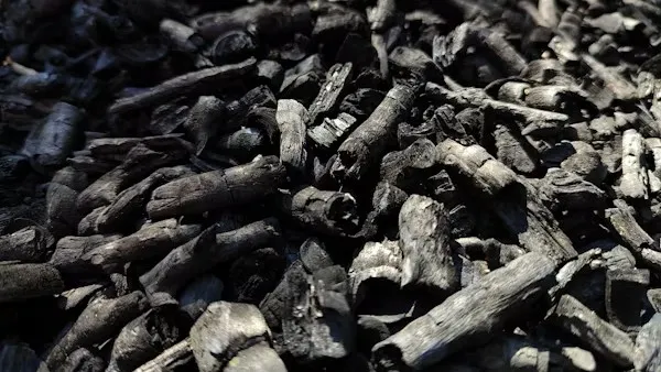 WCL Ki Coal Blocks Bidding Mein Entry
