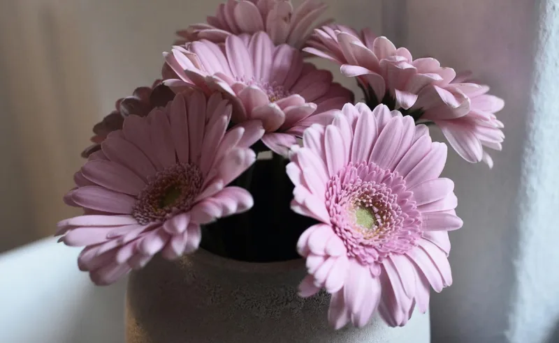 High Court Questions Plastic Flower Ban