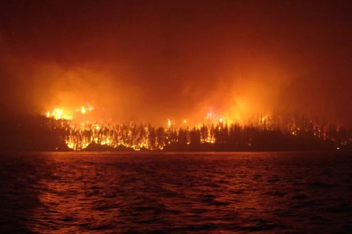 Ethical Outrage as Crypto Bets Surface on Devastating Los Angeles Wildfire