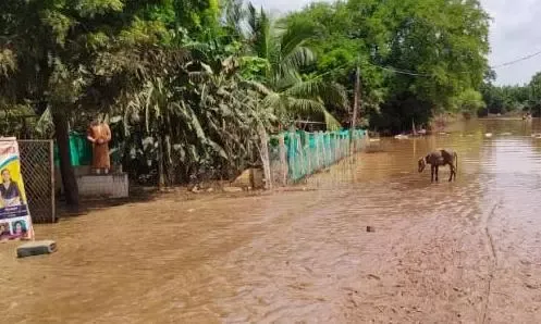Godavari Mein Baadh: Kakinada, Eluru Alert Par!