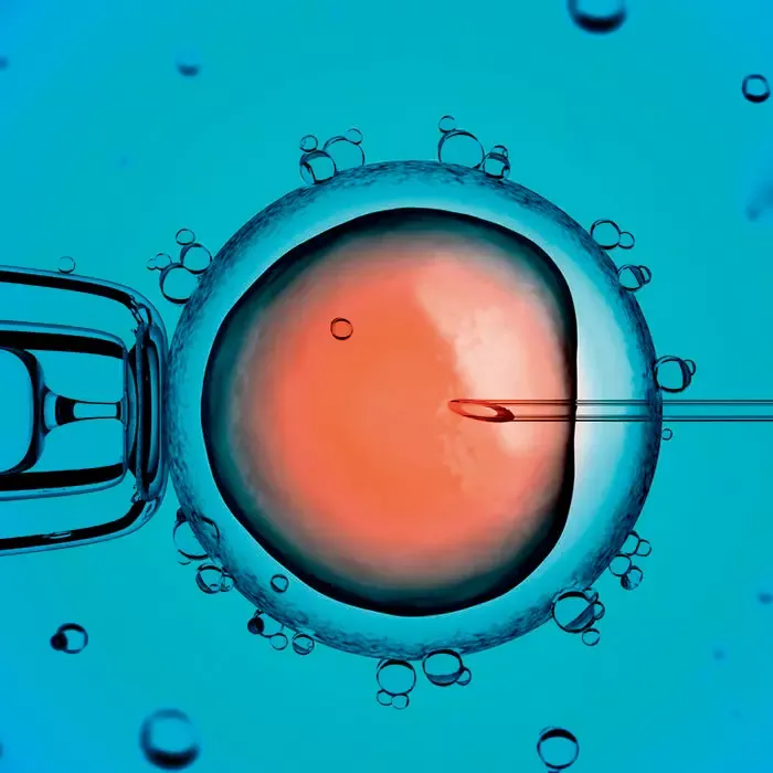 IVF Treatment Hua Aasaan: Hyderabad mein Nayi Clinics!