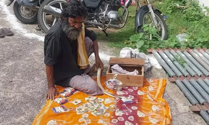 Karimnagar: Naga Panchami par Cobra se Paisa? 2 Arrest!